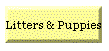 Litters & Puppies